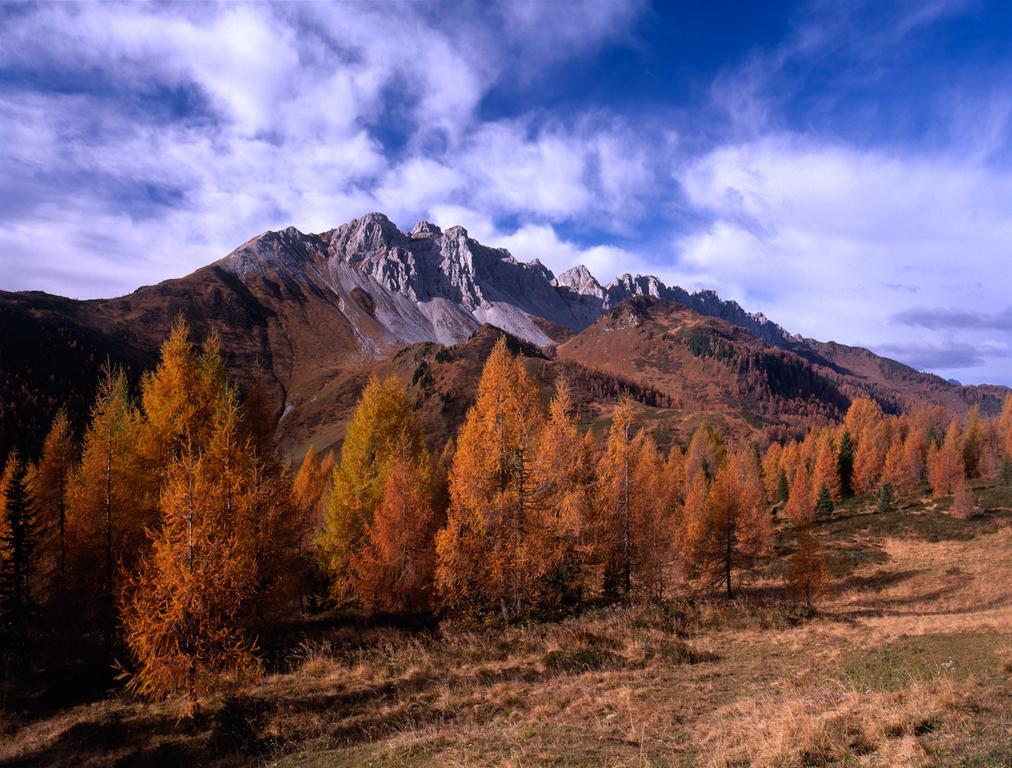 Appartamento Pa' Sefn Sauris Esterno foto